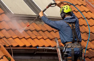 Démoussage et hydrofuge de toiture à Sourniac